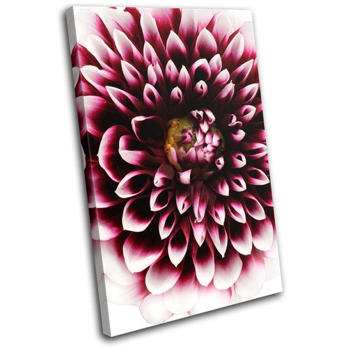 Abstract flower macro home - flower,