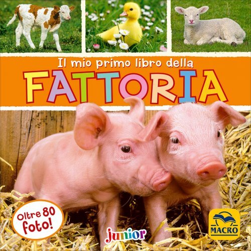 Mio primo libro della - il,
