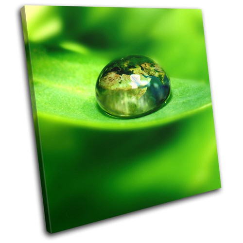 Macro water drop - macro,